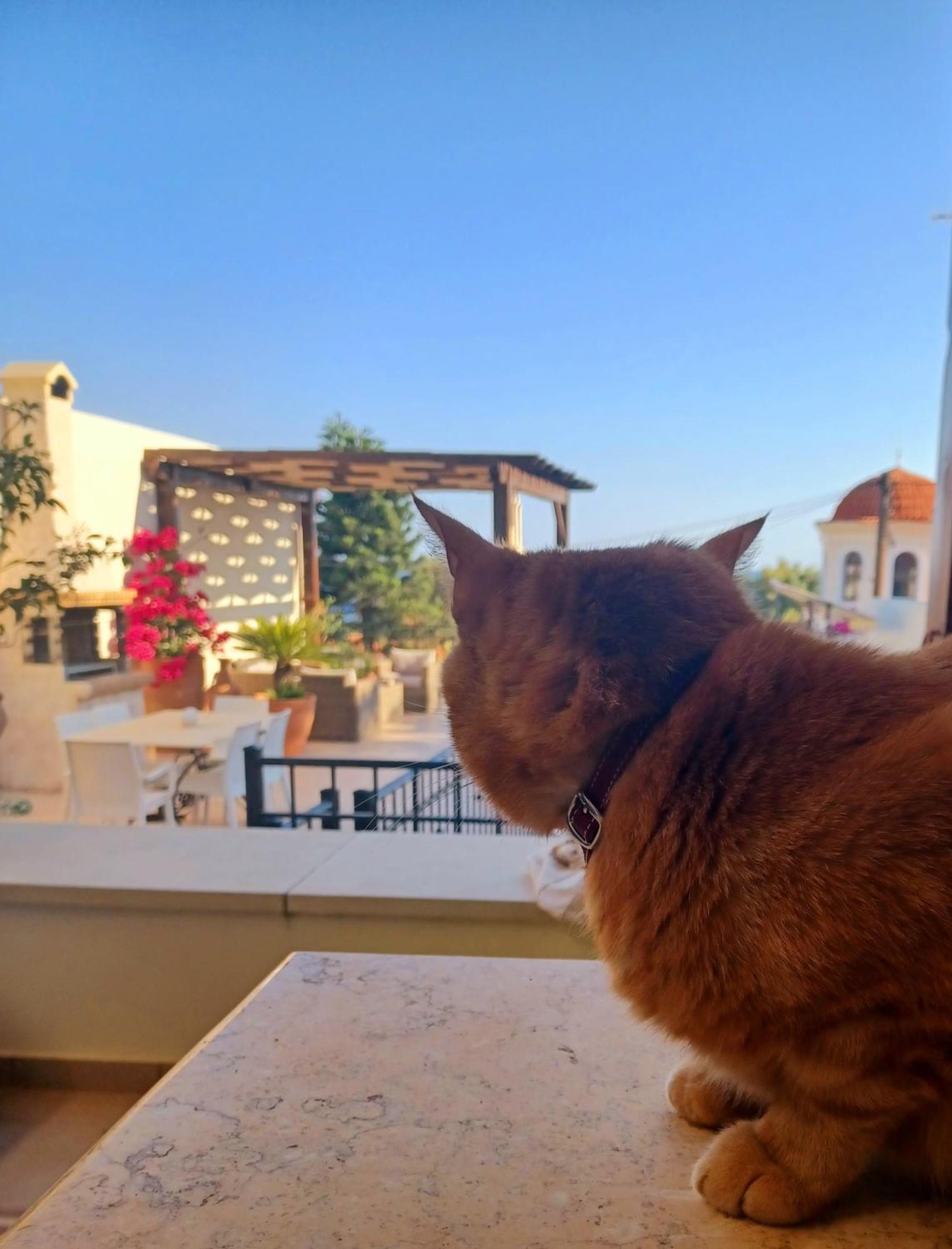Villa Aposperitis Pánormos エクステリア 写真